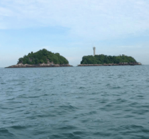 Pulau Angsa