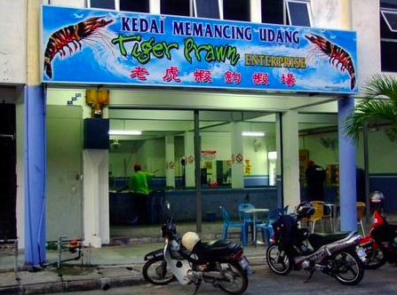 The "new" prawn pond