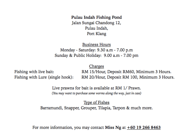 Screen Shot 2014-03-31 at 12.35.19 am