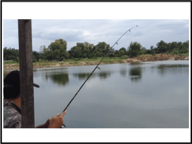 Ponds are of decent sizes