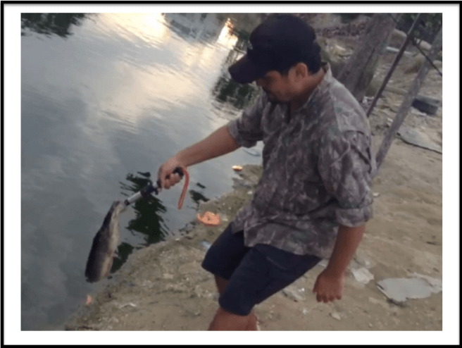 Lowering a tiny catfish to be released. Good fun for a small one.