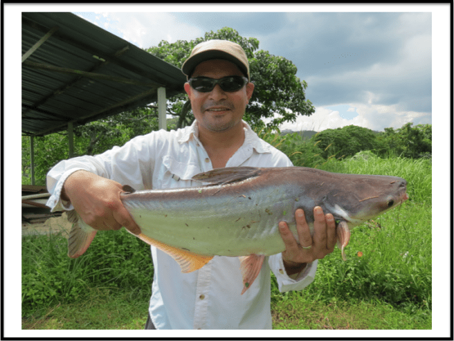 Naweshad's very first Iridescent Shark