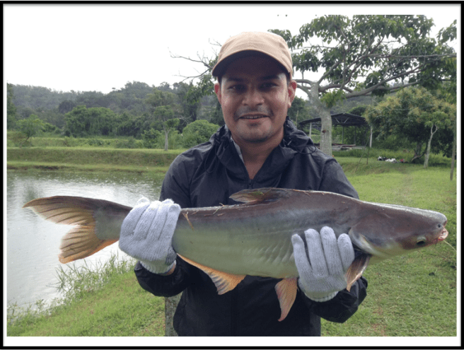 Naweshad's first Iridescent Shark on a fly.