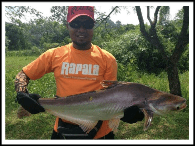 Dave with his 8kg Iridescent Shark or Patin