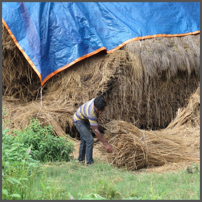 Hay... that's a little much for one guy