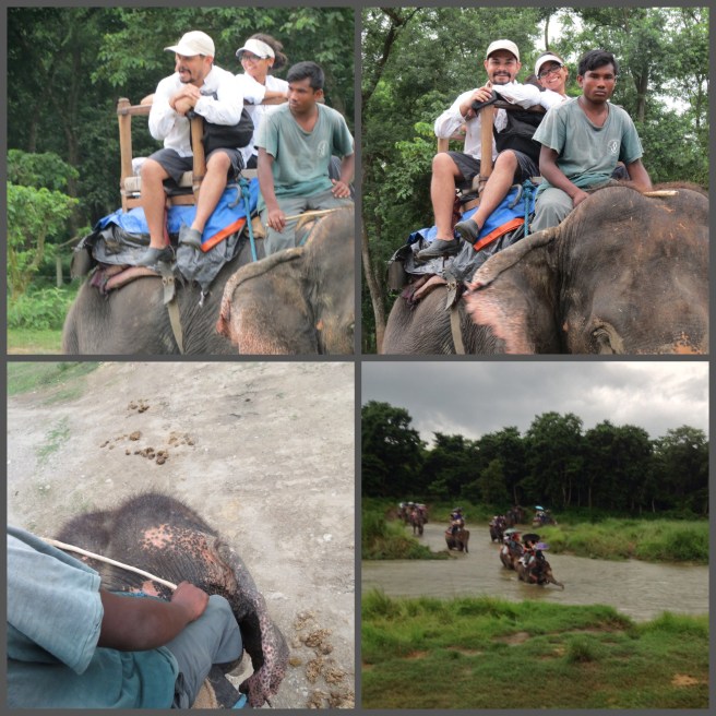 Could you tell our excitement being on the Elephant?