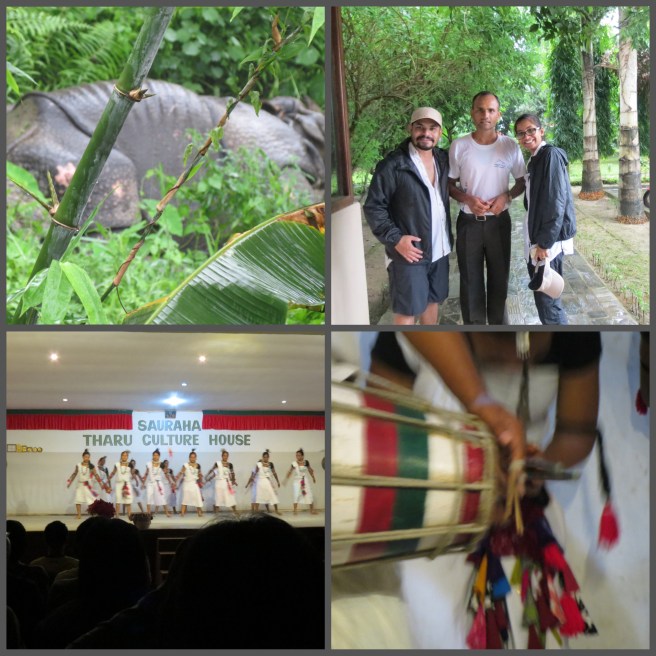 Spotted an injured Rhino, we were told it healed after a few weeks.  We said Goodbye to our trusty guide Saroj before ending the night with the Tharu cultural show