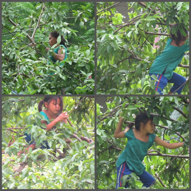 Bhasker captures a girl playing atop a tree. Definitely not a sight we see  AT ALL in the city. 