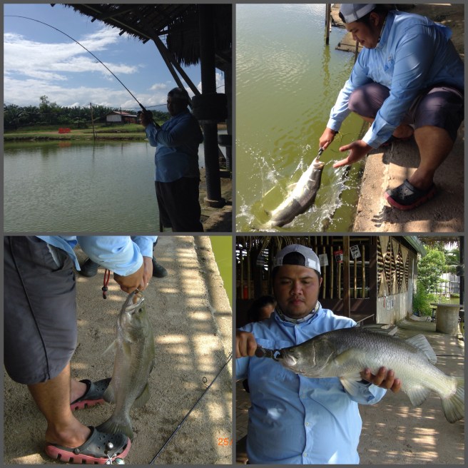 Noru's lunchtime catch