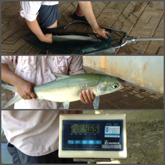 Thye Fishing Village