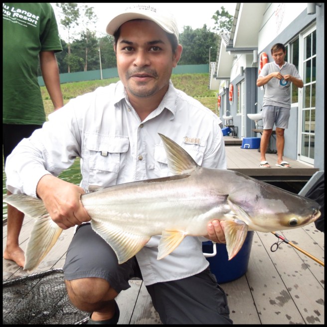 Processed with Moldiv