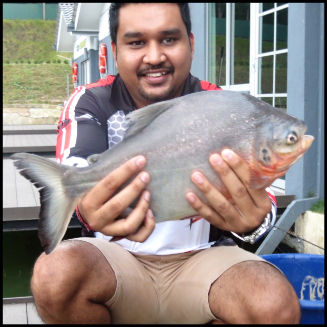 Processed with Moldiv