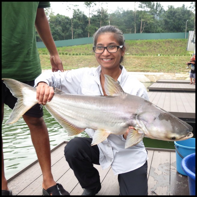 Processed with Moldiv