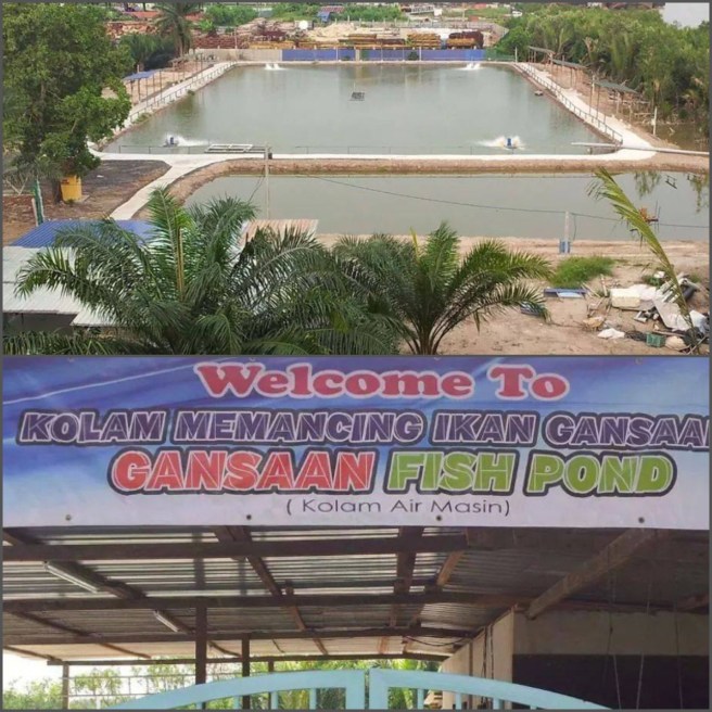 View from the bridge & main entrance of pond. Picture courtesy of Gansaan Fish Pond.