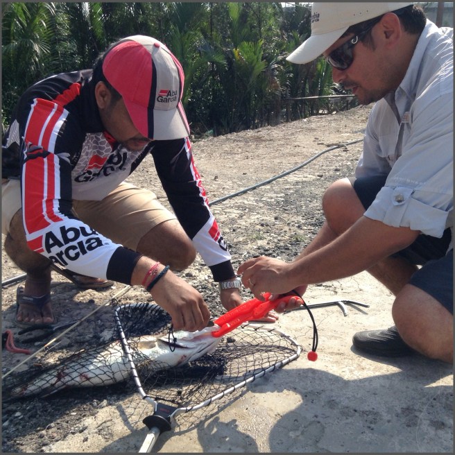 Carefully removing the hook