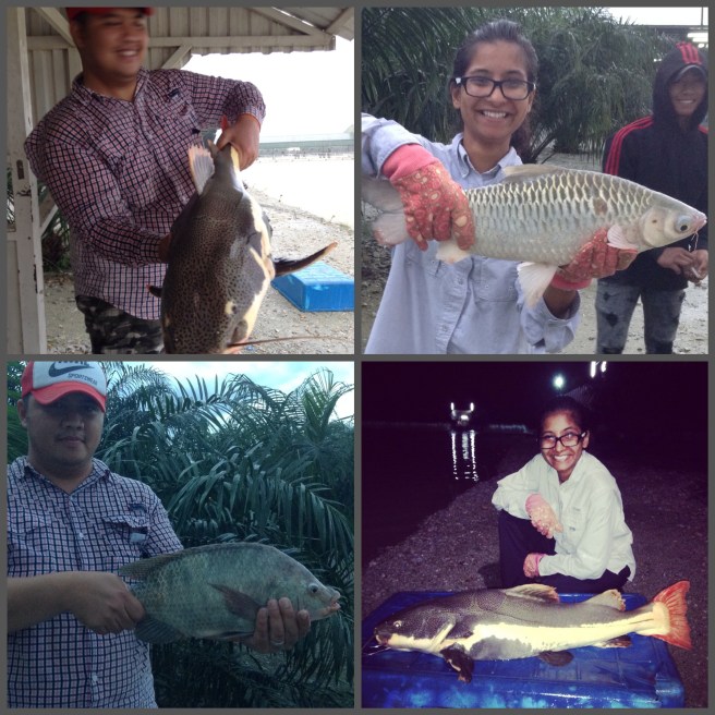 Total catch for the first trip to Natural Exotic