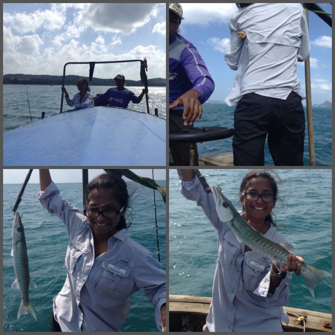 I am very proud of tiny Barracuda