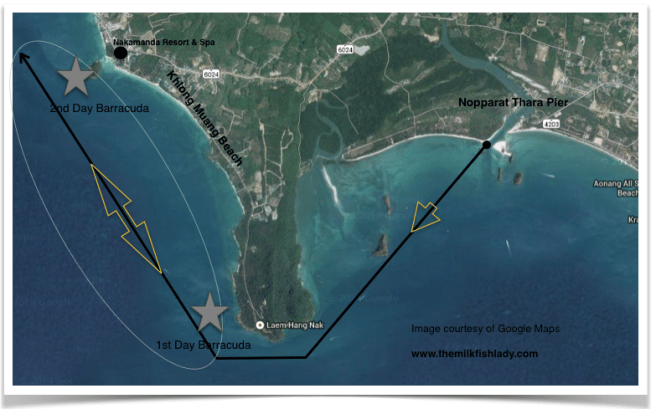 Route we took on the long-tail boat. Stars mark spot where Barracudas were caught.