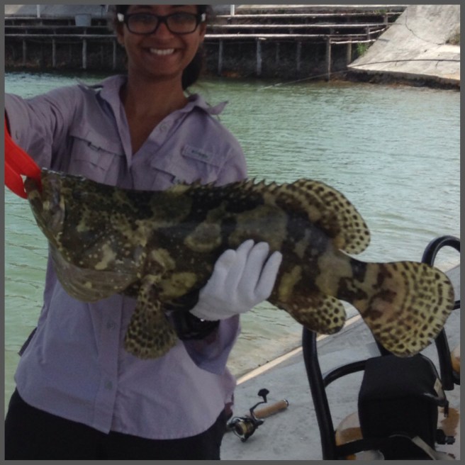 I shall let the photos speak for itself...