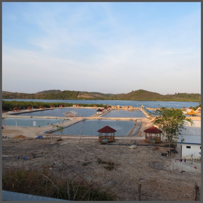 View from on top the bridge.