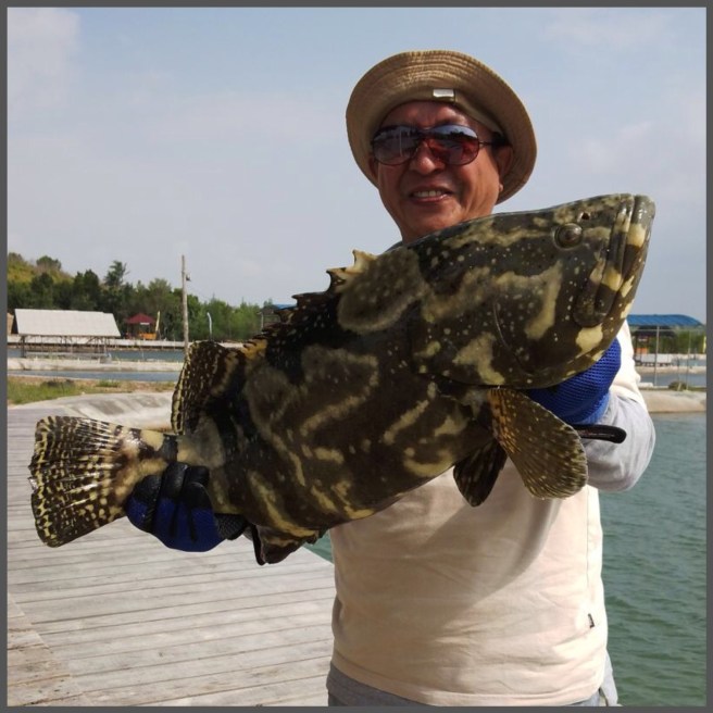 Thank you to Mr. Sulaiman for the photos.