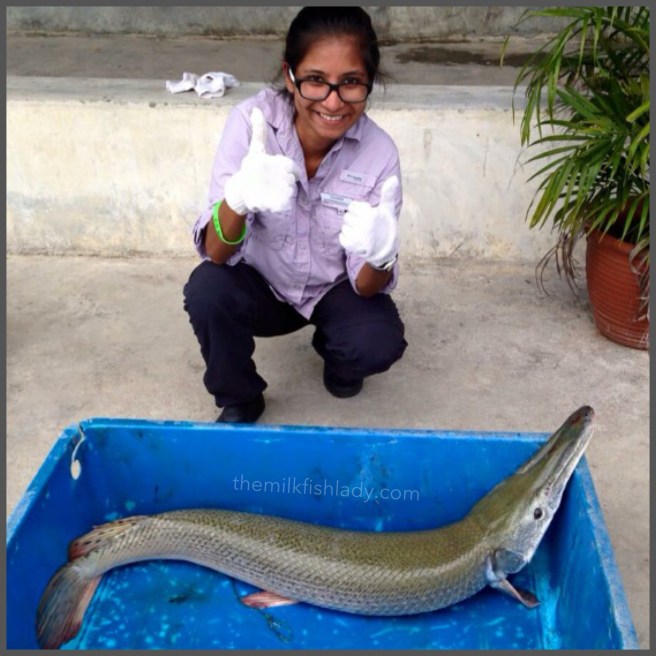 Keeping a safe & unneccesary distance 