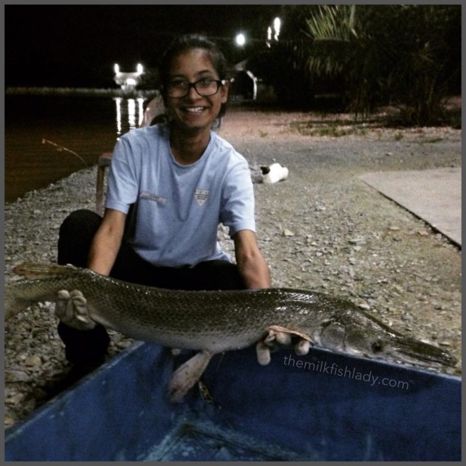 My second Alligator Gar
