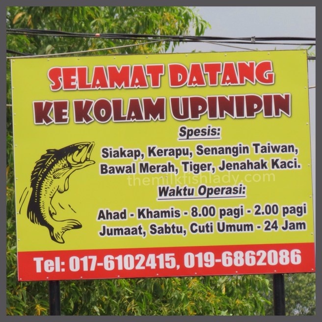 Entrance at the pond, shows species of fishes available.