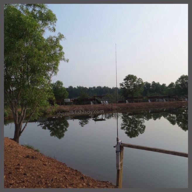 Complete with Rod Holders