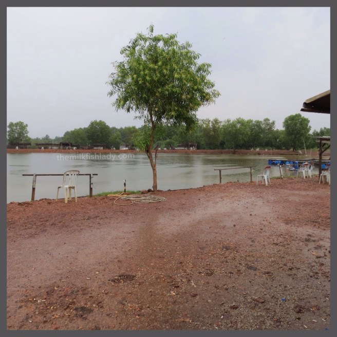 Upin Ipin One Pro Fishing