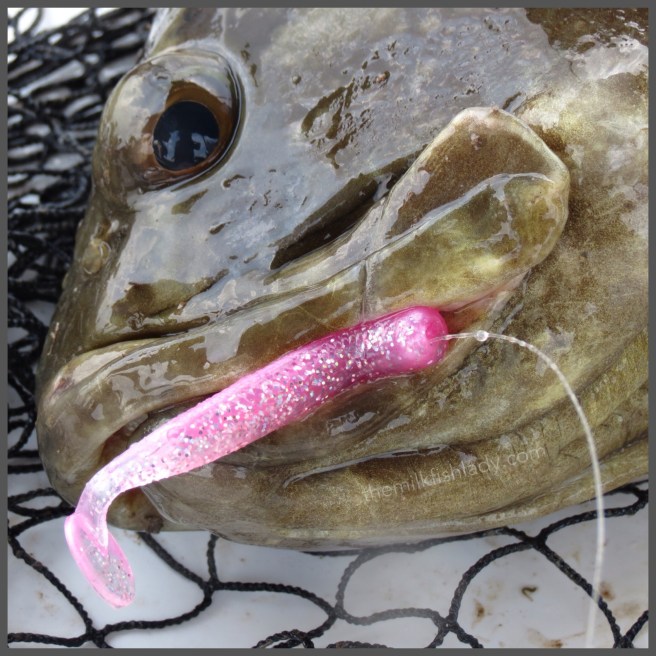 ...and not forgetting the gorgeous Berkley Pink Glow T-Tail. Too sweet to just swim by.