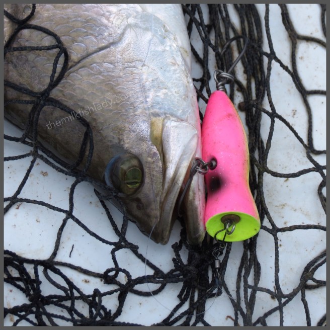 Wondering what sorcery is this...?