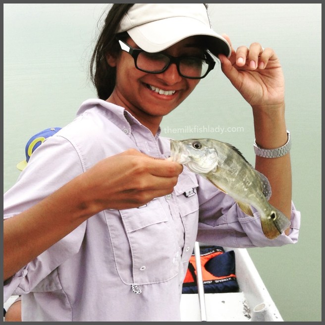 My first, a juvenile Peacock Bass, beautiful nonetheless.