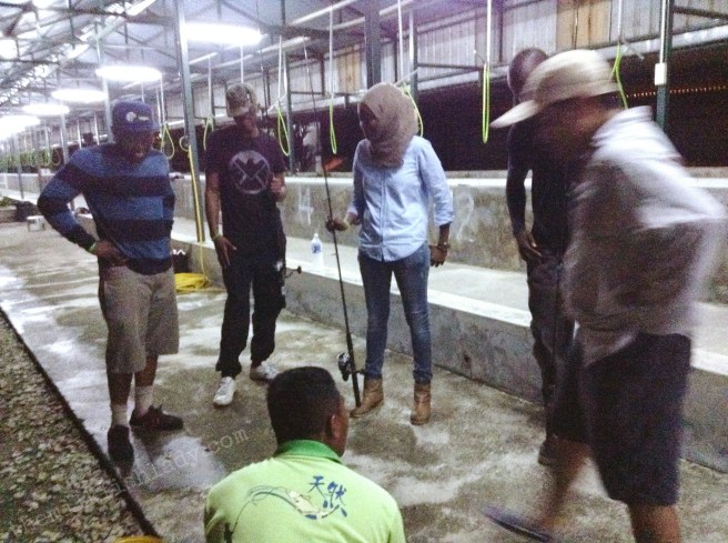 Processed with MOLDIV