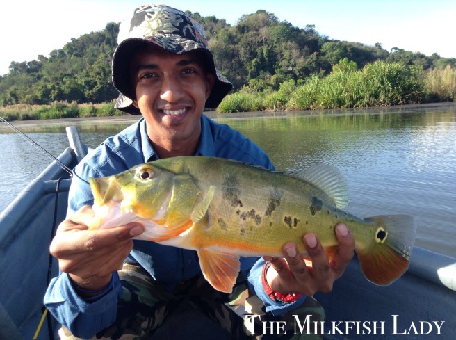 Processed with MOLDIV