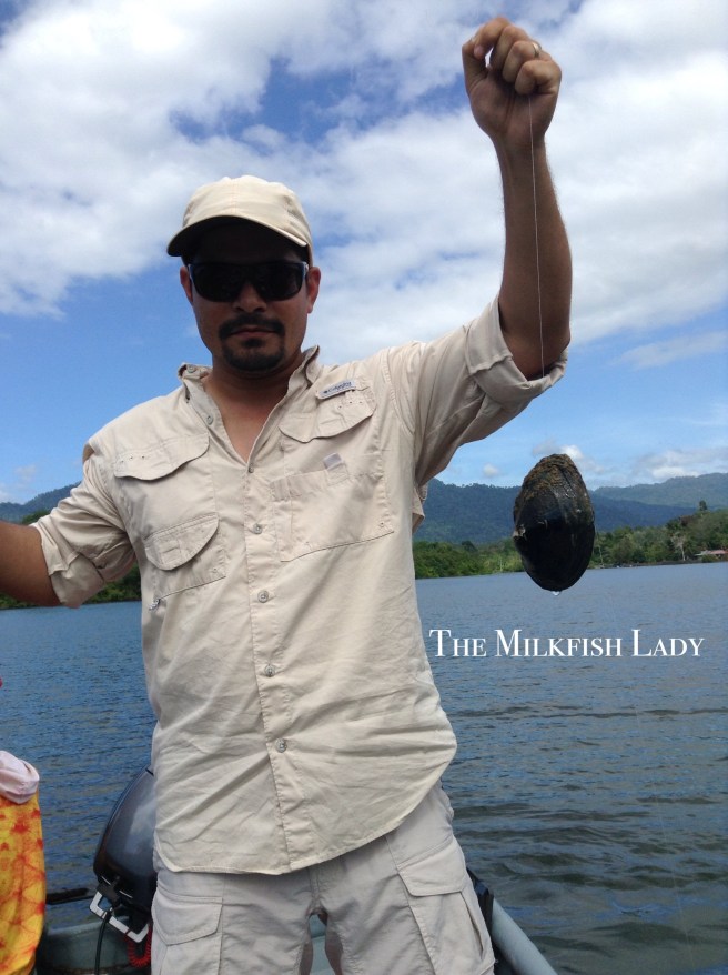 Processed with MOLDIV