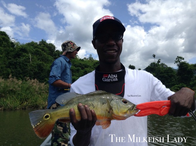 Processed with MOLDIV