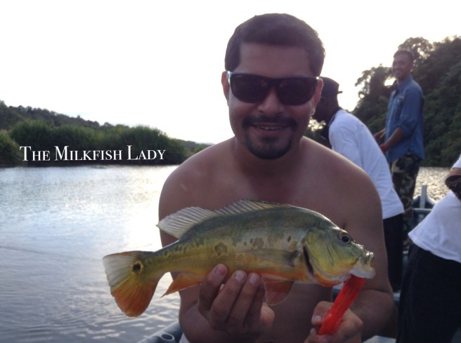 Processed with MOLDIV