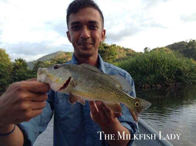 Processed with MOLDIV