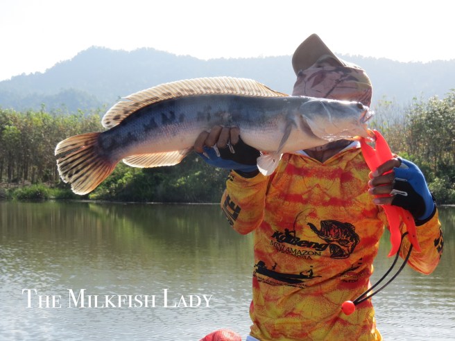 Processed with MOLDIV