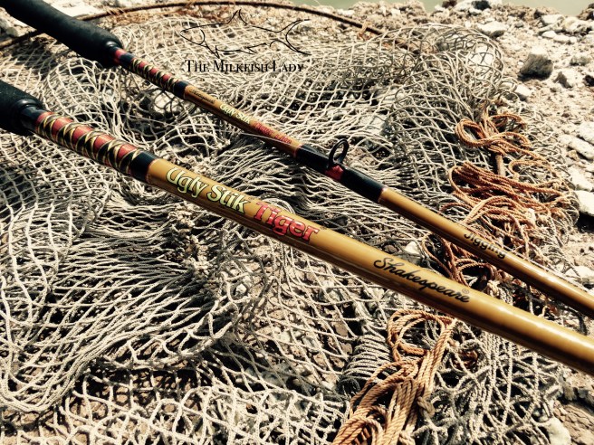 Processed with MOLDIV