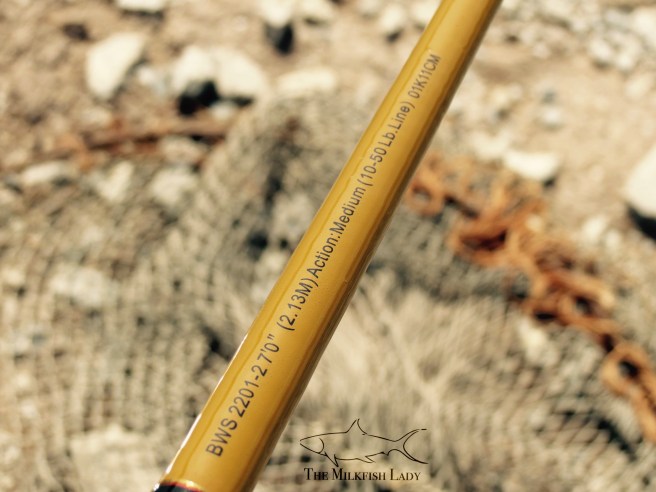 Processed with MOLDIV