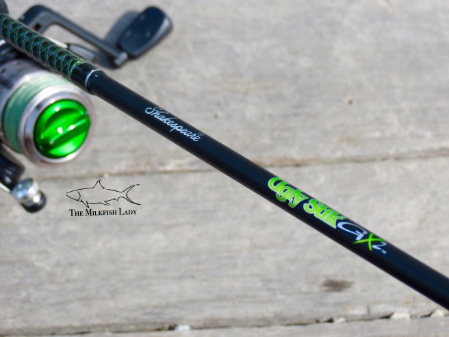 Processed with MOLDIV