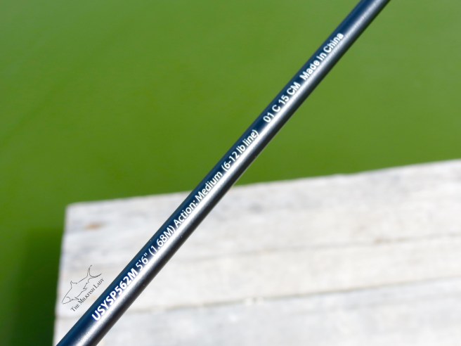 Processed with MOLDIV