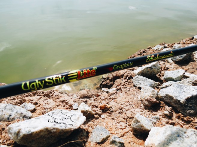 Processed with VSCO with a6 preset