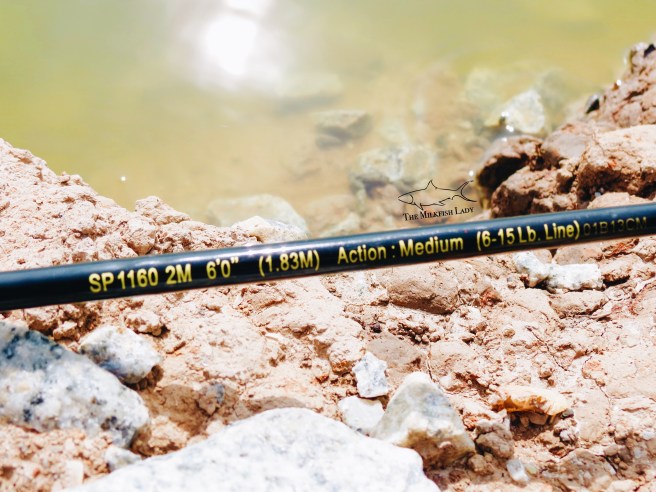 Processed with VSCO with a6 preset