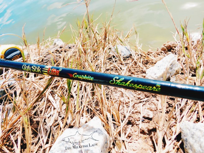 Processed with VSCO with hb2 preset