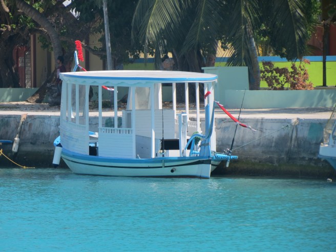 Maldives Fishing